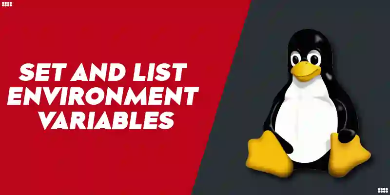 How to Set and List Environment Variables in Linux
