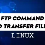 How to Use Linux FTP Command to Transfer Files