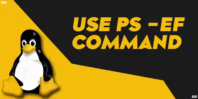 How to Use ps -ef Command in Linux