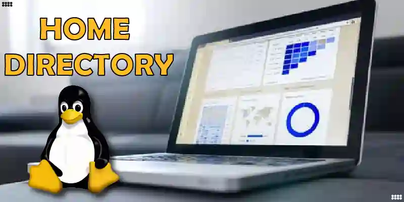 Linux Home Directory Explained