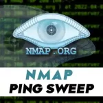 Nmap Ping Sweep in Linux
