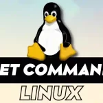 set Command in Linux | Explained