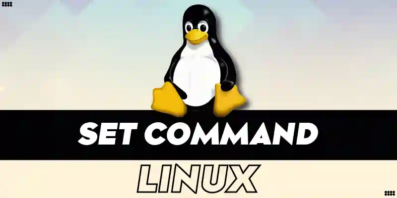 set Command in Linux | Explained