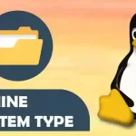 Ways to Determine the File System Type in Linux
