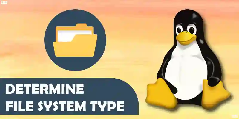 Ways to Determine the File System Type in Linux