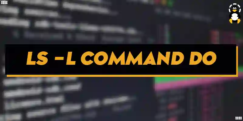 What Does ls -l Command Do in Linux