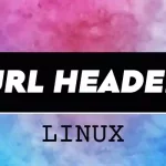 cURL Headers Explained