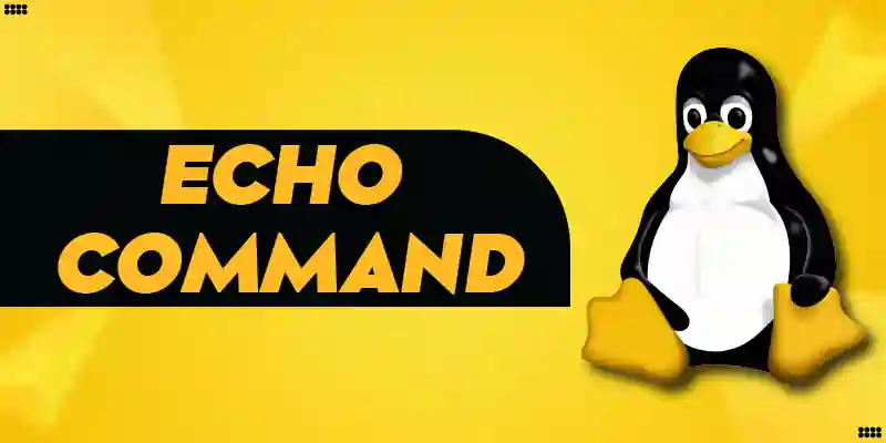 echo Command in Linux Explained