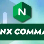 nginx Command in Linux Explained