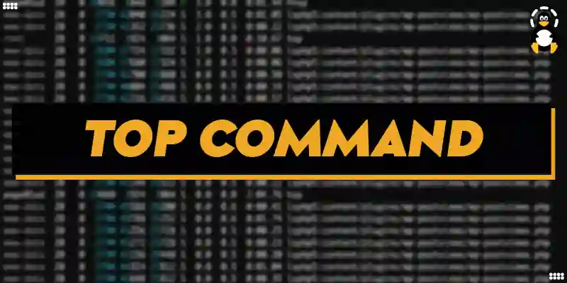 top Command in Linux Explained
