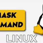 umask Command in Linux Explained