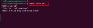 find text in file linux command line