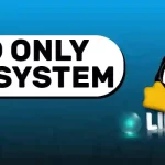 Fix linux read only file system