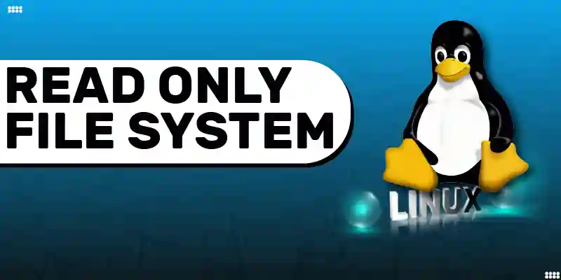 Fix linux read only file system