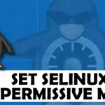 How do I set SELinux to Permissive Mode