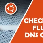 How to Check and Flush DNS Cache on Ubuntu