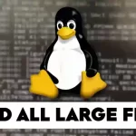 How to Find All Large Files in the Root FileSystem in Linux