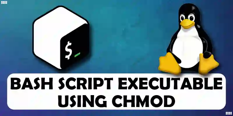 How to Make Bash Script Executable Using chmod