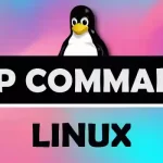 How to Use Linux SCP Command