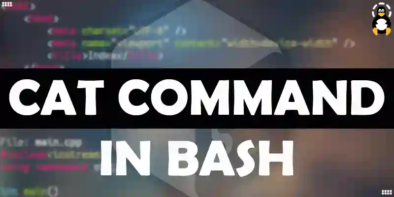 How to Use the cat Command in Bash