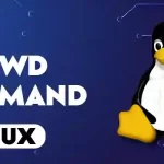 How to Use the passwd Command in Linux