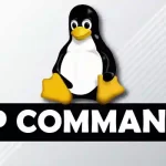 How to use the IP command in Ubuntu