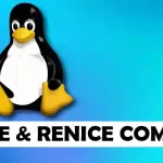 Linux nice and renice Command With Examples