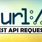 Using Curl to Make REST API Requests