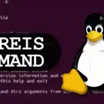 Whereis Command in Linux Explained