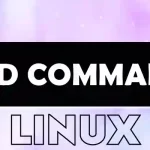 xxd Command in Linux with Examples