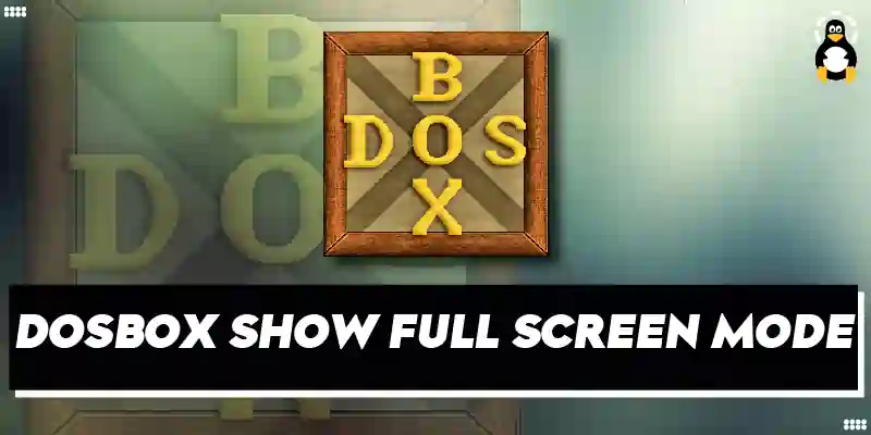 Make DOSBox Show in Full-Screen Mode