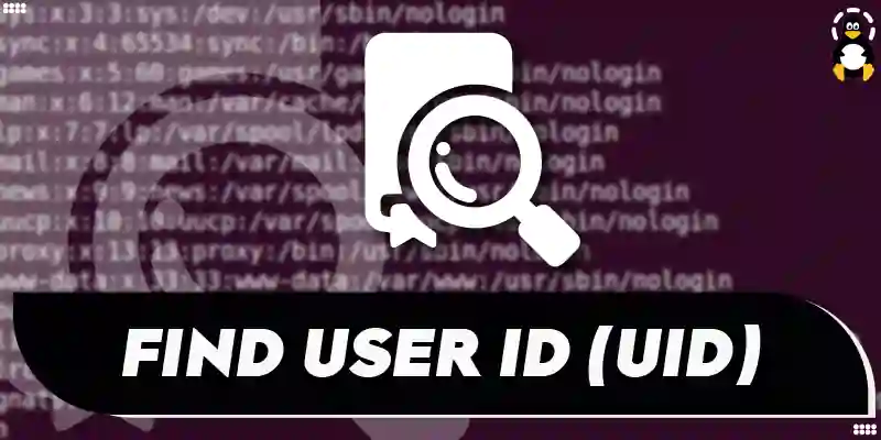 How can I Find My User ID (UID) From Terminal