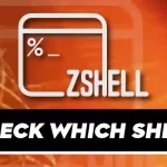 How do I Check Which Shell I am Using