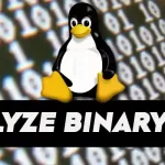 How to Analyze a Binary File in Linux