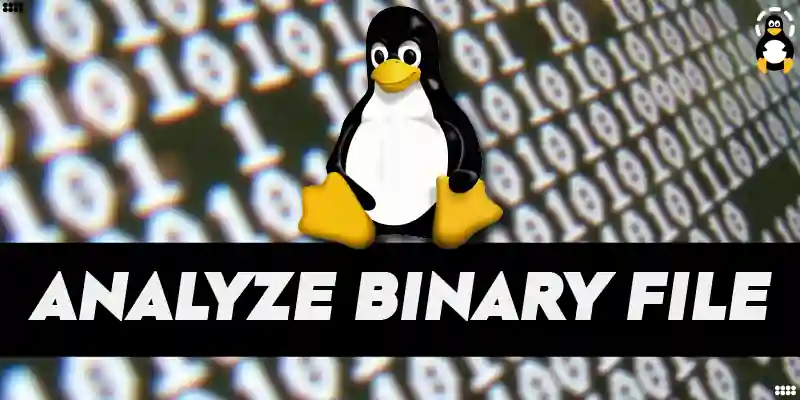 How to Analyze a Binary File in Linux