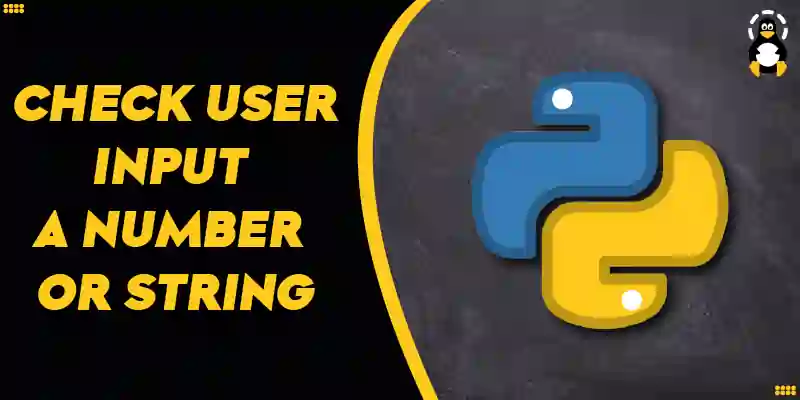 How to Check User Input is a Number or String in Python