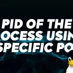How to Find the PID of the Process Using a Specific Port