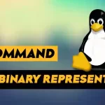 How to Output the Binary Representation of a Hex Number Using xxd Command