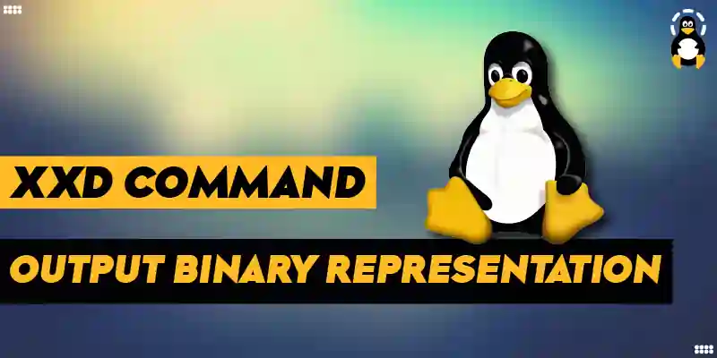 How to Output the Binary Representation of a Hex Number Using xxd Command