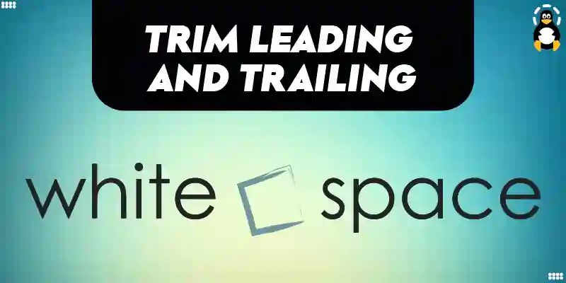 Trim Leading Whitespace C