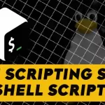 Is Bash Scripting the Same as Shell Scripting