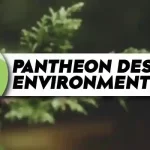 Pantheon Desktop Environment_ Everything You Need to Know