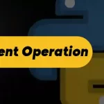 Python Increment Operation