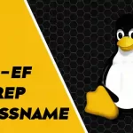 What Does _ps -ef _ grep processname_ Command Mean in Linux