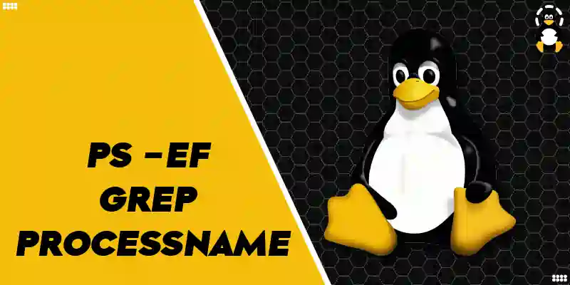 What Does _ps -ef _ grep processname_ Command Mean in Linux