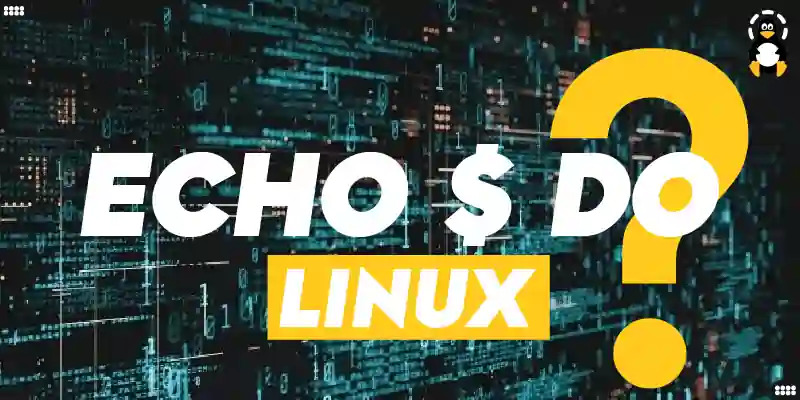 What Does Echo Do It In Linux Its Linux FOSS