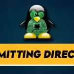 What does cp omitting directory Mean