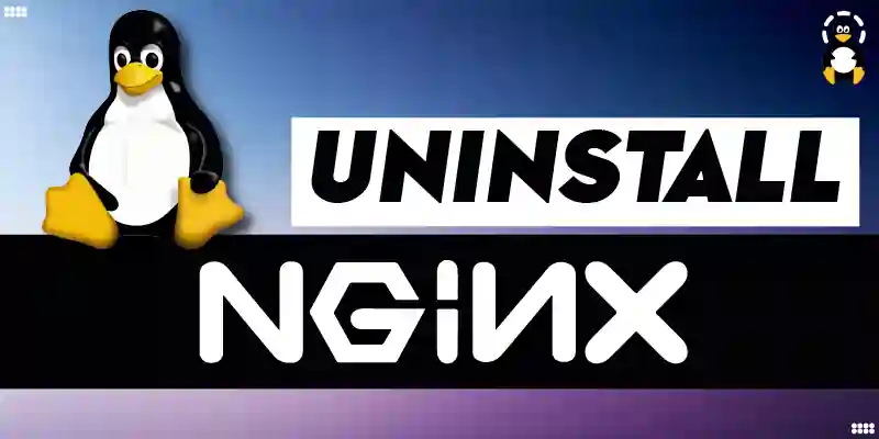 What is the Best Way to Uninstall Nginx