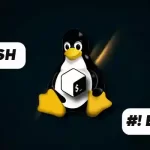 What is the Difference Between #!_bin_sh and #!_bin_bash