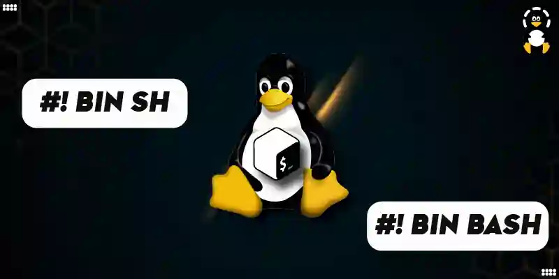 What is the Difference Between #!_bin_sh and #!_bin_bash